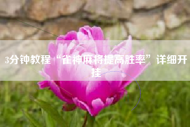 3分钟教程“雀神麻将提高胜率”详细开挂