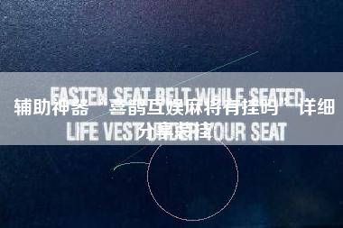 辅助神器“喜鹊互娱麻将有挂吗”详细分享装挂