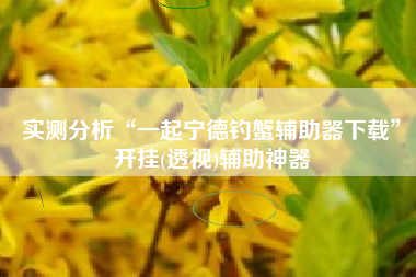 实测分析“一起宁德钓蟹辅助器下载”开挂(透视)辅助神器