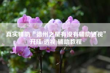 真实辅助“德州之星有没有辅助透视”开挂(透视)辅助教程