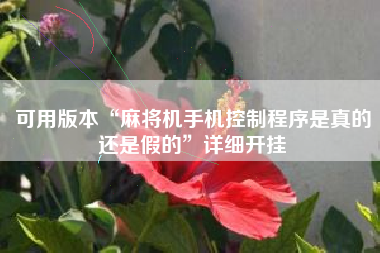 可用版本“麻将机手机控制程序是真的还是假的”详细开挂
