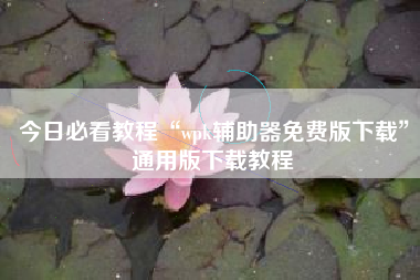 今日必看教程“wpk辅助器免费版下载”通用版下载教程
