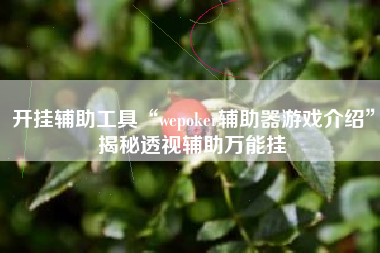 开挂辅助工具“wepoker辅助器游戏介绍”揭秘透视辅助万能挂