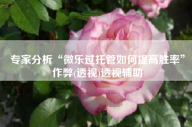 专家分析“微乐过托管如何提高胜率”作弊(透视)透视辅助