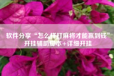 软件分享“怎么样打麻将才能赢到钱”开挂辅助脚本+详细开挂