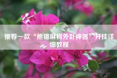 推荐一款“熊猫麻将外卦神器”开挂详细教程