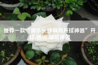 推荐一款“微乐长沙麻将开挂神器”开挂(透视)辅助神器