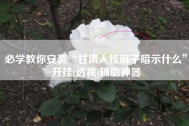 必学教你安装“甘肃人挂麻子暗示什么”开挂(透视)辅助神器