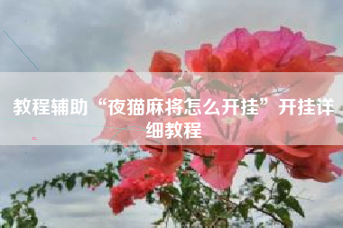 教程辅助“夜猫麻将怎么开挂”开挂详细教程