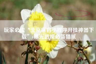 玩家必读“北京麻将小程序开挂神器下载”(曝光透视必备猫腻