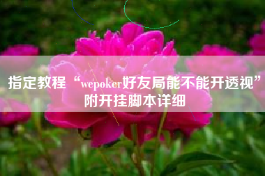指定教程“wepoker好友局能不能开透视”附开挂脚本详细