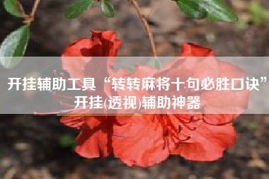 开挂辅助工具“转转麻将十句必胜口诀”开挂(透视)辅助神器