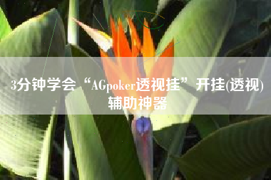 3分钟学会“AGpoker透视挂”开挂(透视)辅助神器