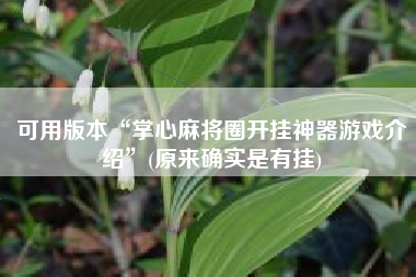 可用版本“掌心麻将圈开挂神器游戏介绍”(原来确实是有挂)