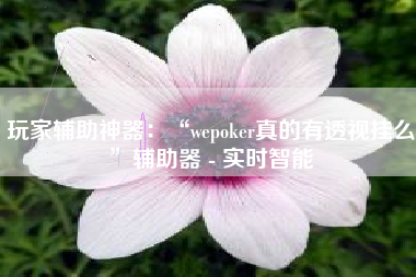 玩家辅助神器：“wepoker真的有透视挂么”辅助器 - 实时智能