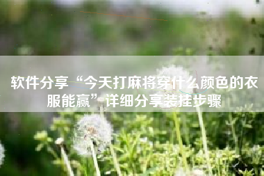 软件分享“今天打麻将穿什么颜色的衣服能赢”详细分享装挂步骤