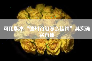 可用版本“德州钓组怎么挂饵”其实确实有挂