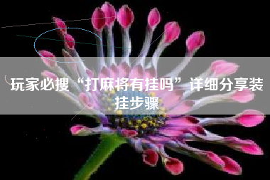 玩家必搜“打麻将有挂吗”详细分享装挂步骤