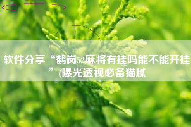 软件分享“鹤岗52麻将有挂吗能不能开挂”(曝光透视必备猫腻