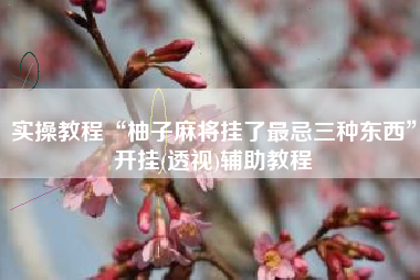 实操教程“柚子麻将挂了最忌三种东西	”开挂(透视)辅助教程