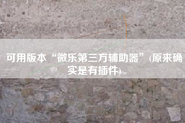 可用版本“微乐第三方辅助器	”(原来确实是有插件)