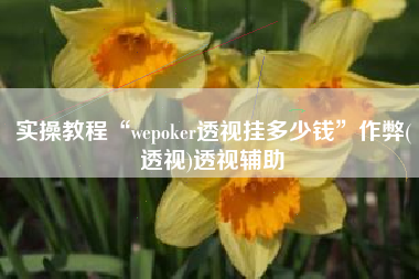 实操教程“wepoker透视挂多少钱	”作弊(透视)透视辅助