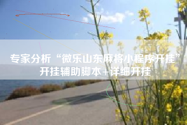 专家分析“微乐山东麻将小程序开挂”开挂辅助脚本+详细开挂