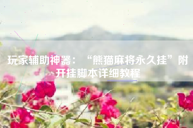 玩家辅助神器：“熊猫麻将永久挂”附开挂脚本详细教程