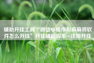 辅助开挂工具“微信小程序川麻麻将软件怎么开挂”开挂辅助脚本+详细开挂