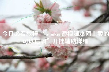 今日必看教程“wepoker透视脚本网上卖的可以信嘛”开挂辅助详细