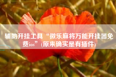 辅助开挂工具“微乐麻将万能开挂器免费ios”(原来确实是有插件)