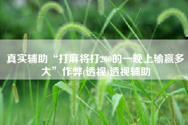 真实辅助“打麻将打200的一晚上输赢多大”作弊(透视)透视辅助