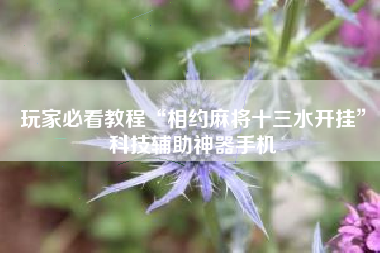 玩家必看教程“相约麻将十三水开挂”科技辅助神器手机