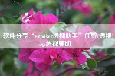 软件分享“wepoker透视助手”作弊(透视)透视辅助