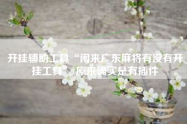 开挂辅助工具“闲来广东麻将有没有开挂工具”(原来确实是有插件