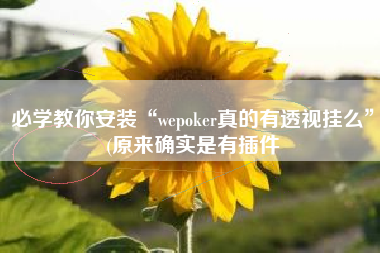 必学教你安装“wepoker真的有透视挂么”(原来确实是有插件
