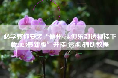 必学教你安装“德州wpk俱乐部透视挂下载2023最新版”开挂(透视)辅助教程