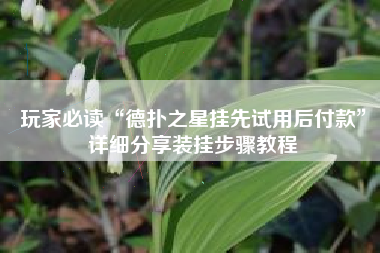 玩家必读“德扑之星挂先试用后付款”详细分享装挂步骤教程