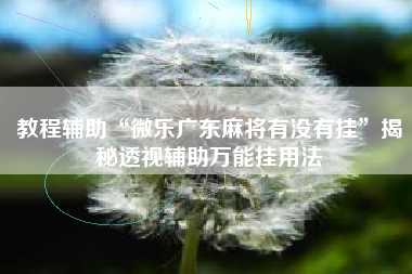教程辅助“微乐广东麻将有没有挂”揭秘透视辅助万能挂用法