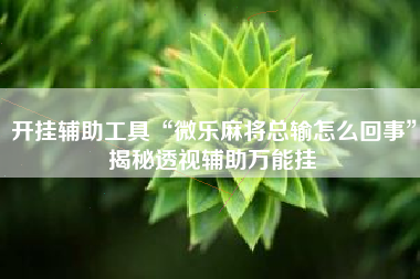 开挂辅助工具“微乐麻将总输怎么回事”揭秘透视辅助万能挂