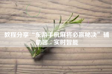 教程分享“东游手机麻将必赢秘决”辅助器 - 实时智能