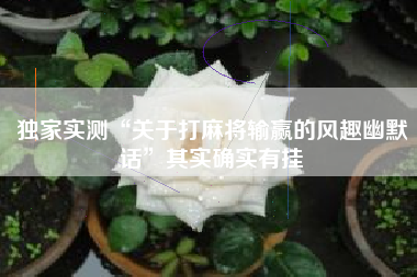 独家实测“关于打麻将输赢的风趣幽默话	”其实确实有挂