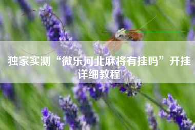 独家实测“微乐河北麻将有挂吗”开挂详细教程