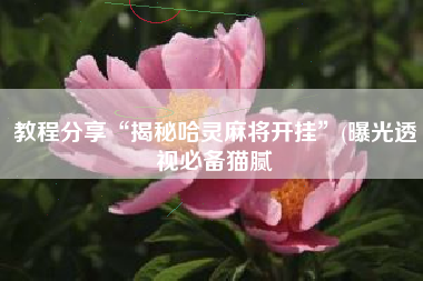教程分享“揭秘哈灵麻将开挂”(曝光透视必备猫腻