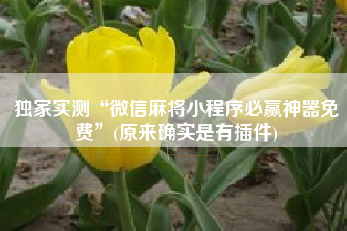 独家实测“微信麻将小程序必赢神器免费”(原来确实是有插件)