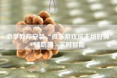 必学教你安装“微乐游戏房主给好牌	”辅助器 - 实时智能