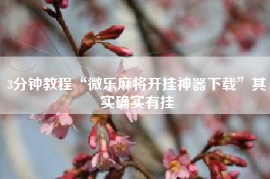 3分钟教程“微乐麻将开挂神器下载”其实确实有挂