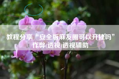 教程分享“安全版麻友圈可以开挂吗”作弊(透视)透视辅助