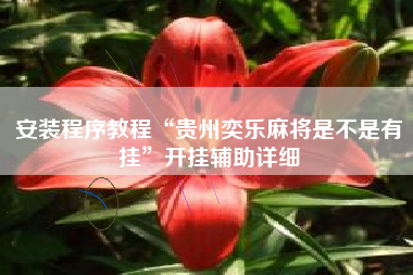 安装程序教程“贵州奕乐麻将是不是有挂”开挂辅助详细