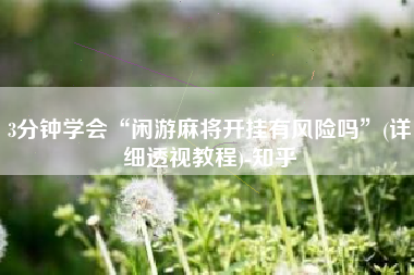 3分钟学会“闲游麻将开挂有风险吗	”(详细透视教程)-知乎